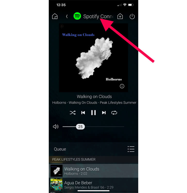 add spotify playlist 13